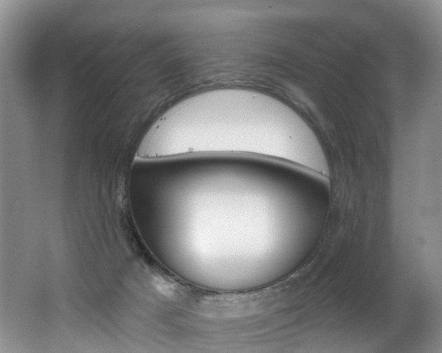 X0000062690025200512211144