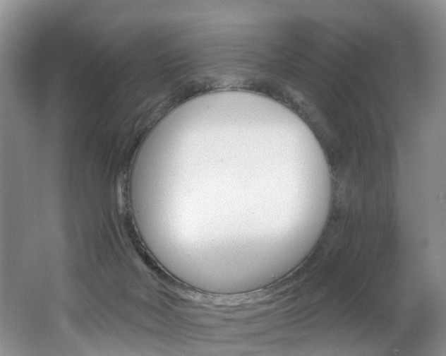 X0000062690026200512211144