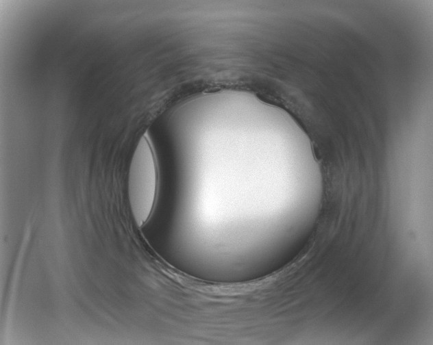 X0000062690033200512211144