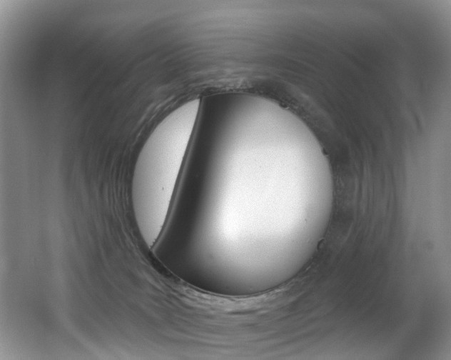 X0000062690035200512211144