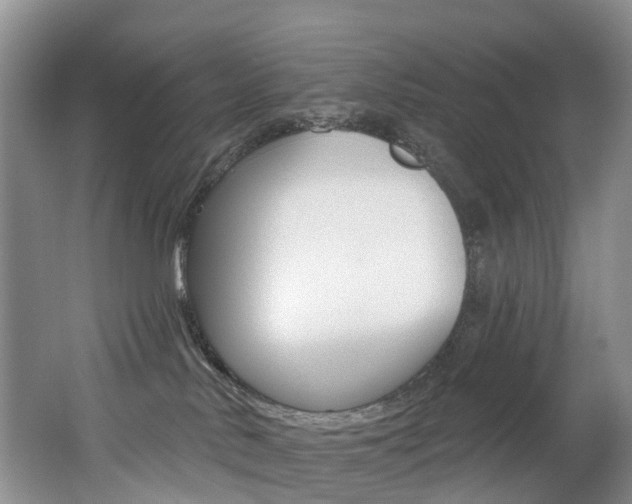 X0000062690042200512211144