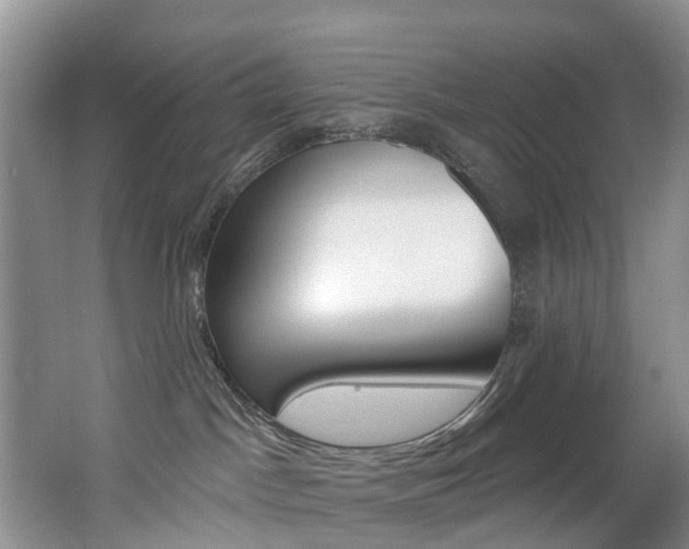 X0000062690045200512211144