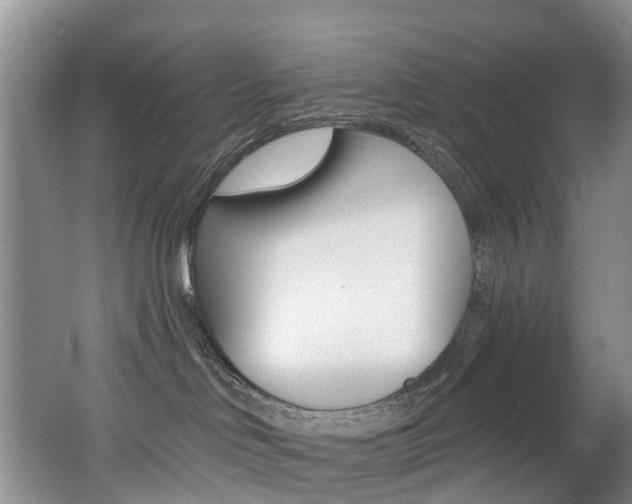 X0000062690046200512211144