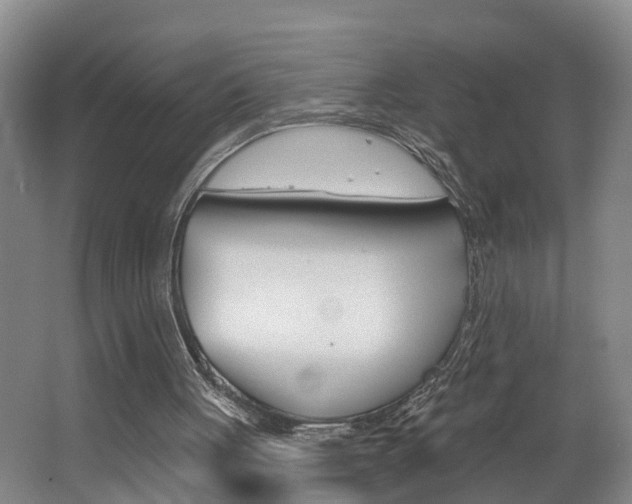 X0000062690051200512211143