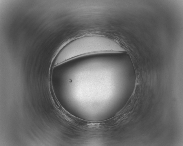 X0000062690052200512211143