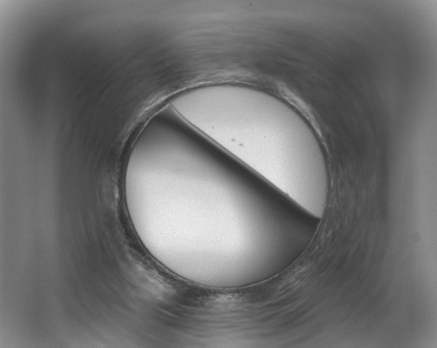 X0000062690059200512211143