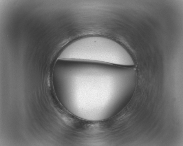 X0000062690068200512211143