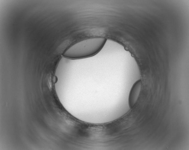 X0000062690069200512211143