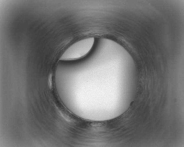 X0000062690070200512211144