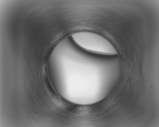 X0000062690071200512211144