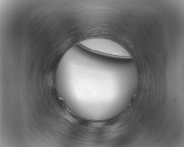 X0000062690081200512211144