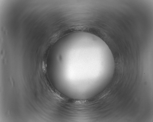X0000062690089200512211144
