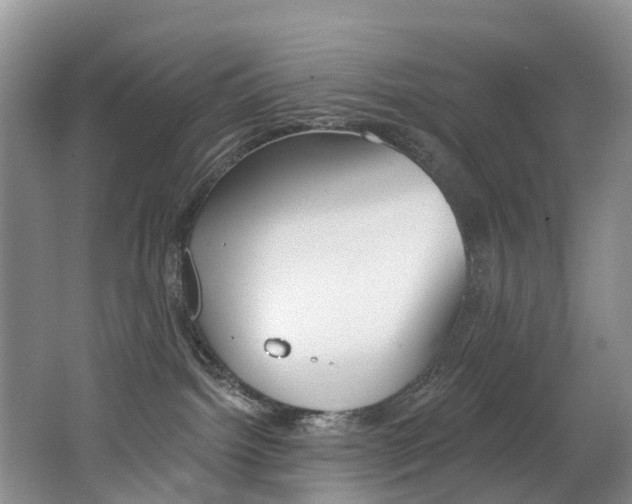 X0000062690092200512211144