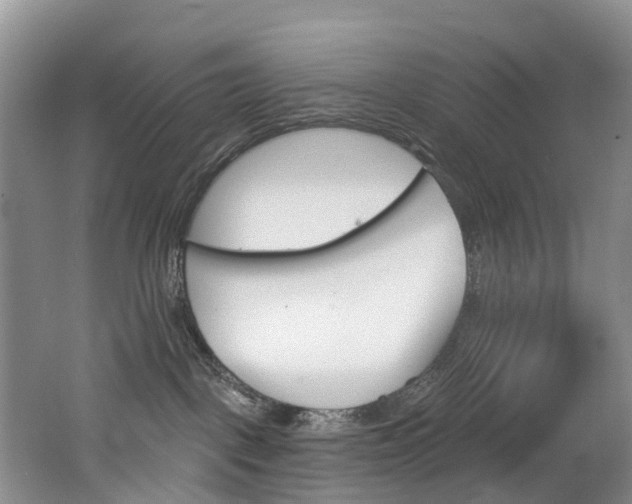 X0000062690093200512211144