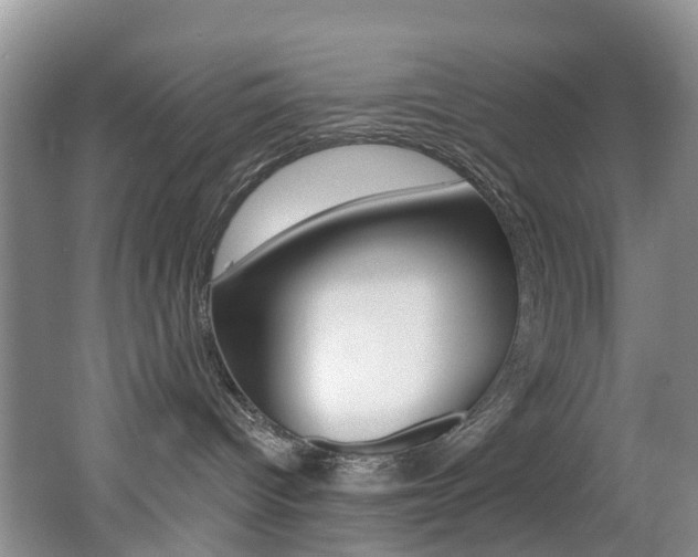 X0000062690096200512211144