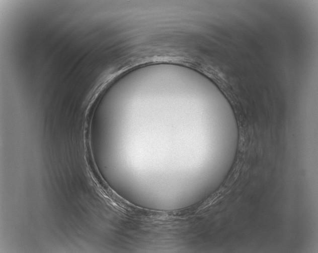 X0000062690098200512211143
