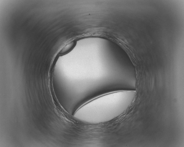 X0000062690100200512211143