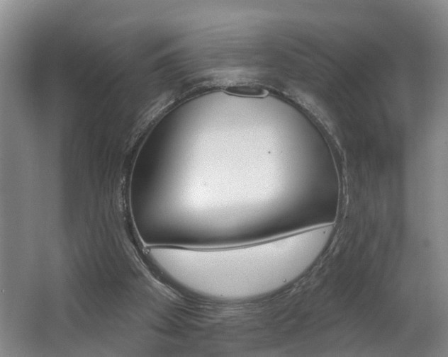 X0000062690105200512211143