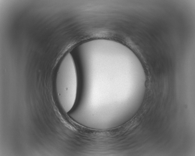 X0000062690106200512211143