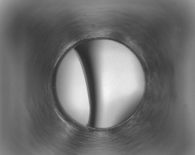 X0000062690107200512211143