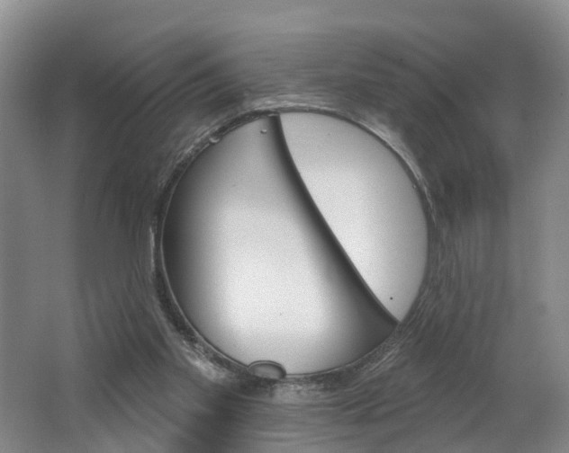 X0000062690109200512211143