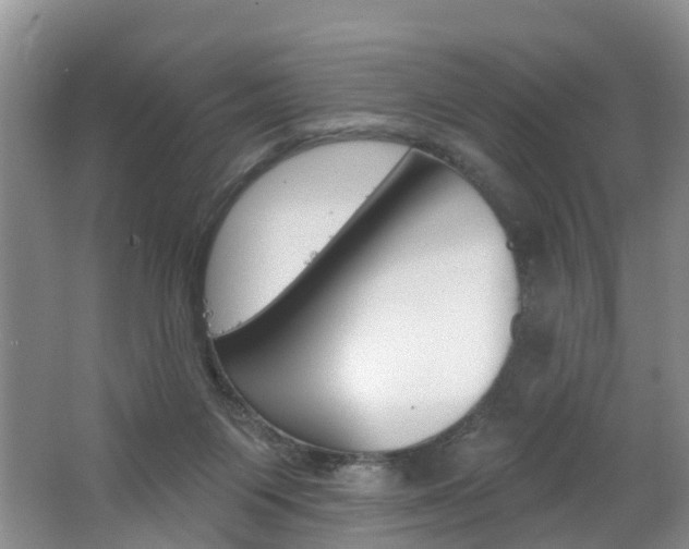 X0000062690119200512211143