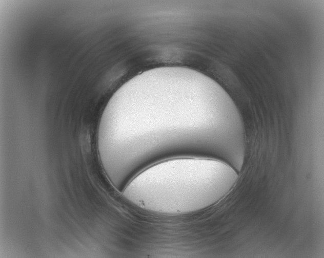 X0000062690120200512211143