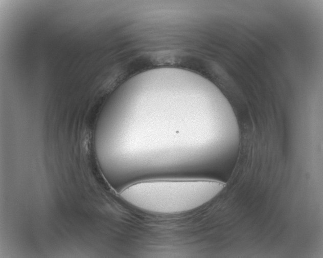 X0000062690125200512211143