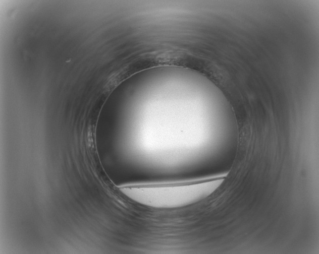 X0000062690137200512211142