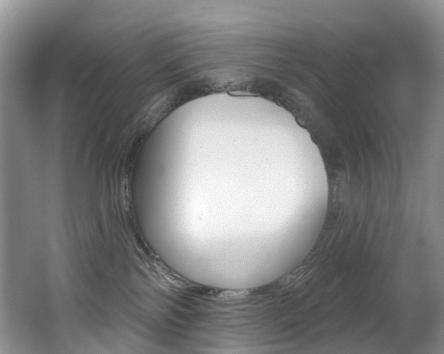 X0000062690138200512211142