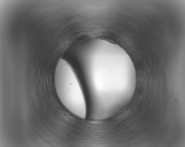X0000062690139200512211142