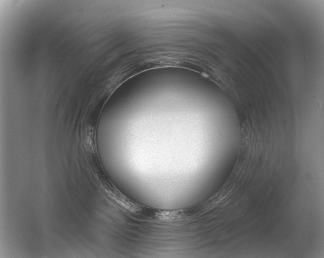 X0000062690141200512211142