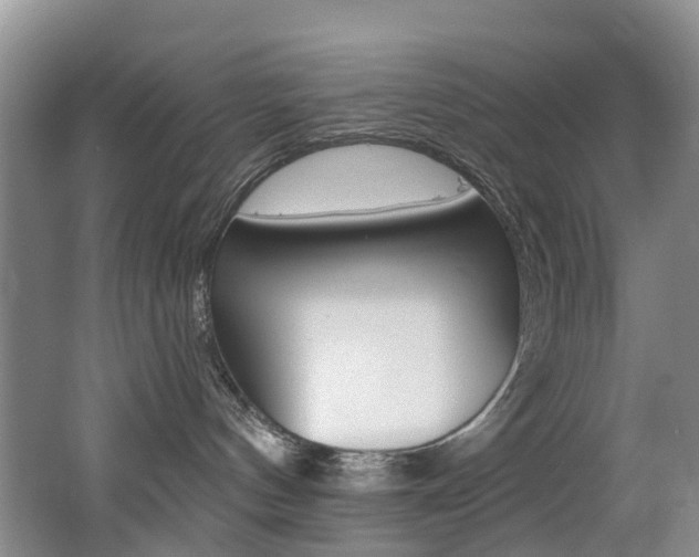 X0000062690144200512211142