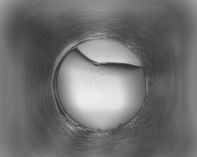 X0000062690147200512211142