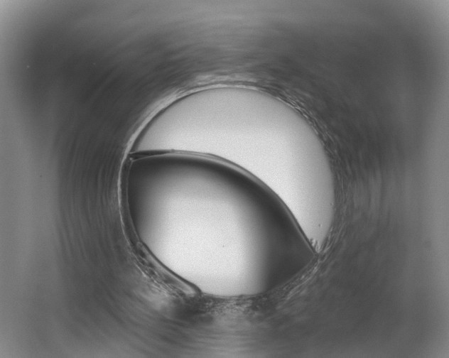X0000062690148200512211142