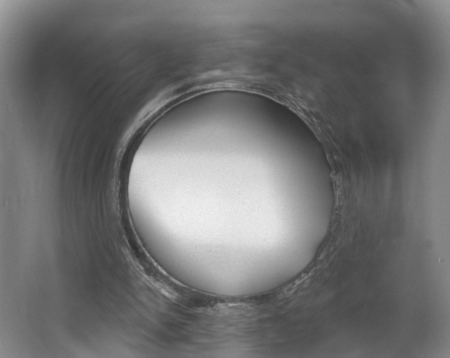 X0000062690150200512211142