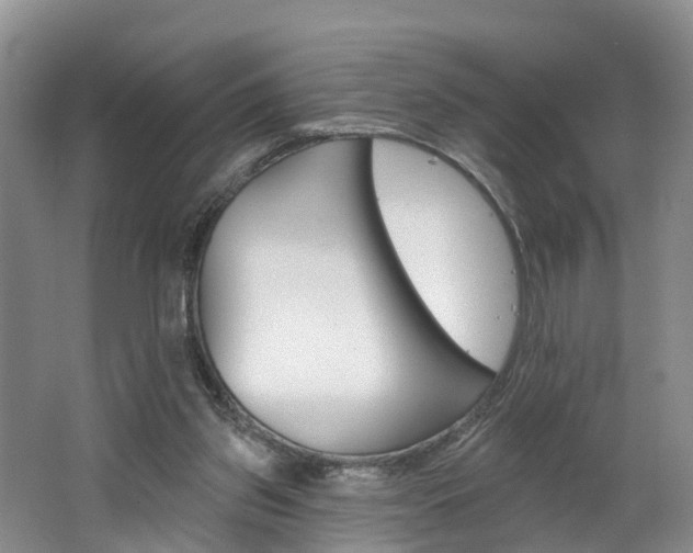 X0000062690157200512211142