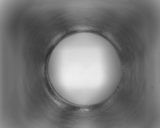 X0000062690159200512211142