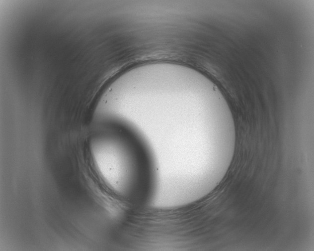 X0000062690164200512211142