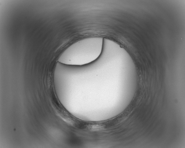 X0000062690165200512211142