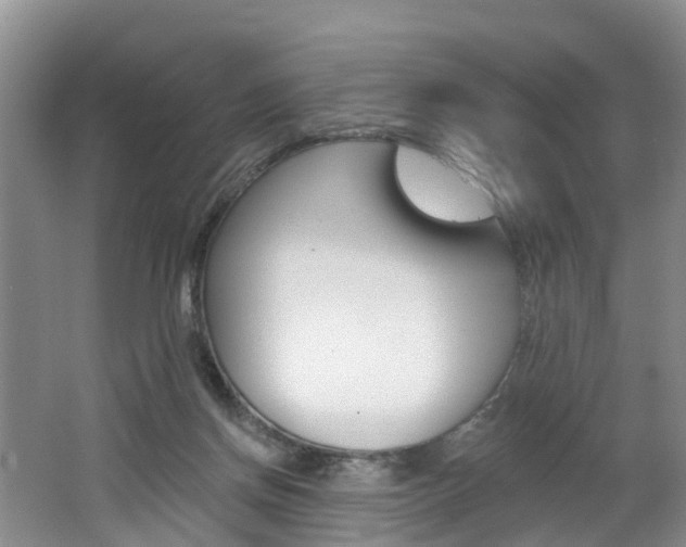 X0000062690166200512211142