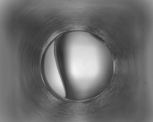 X0000062690195200512211141