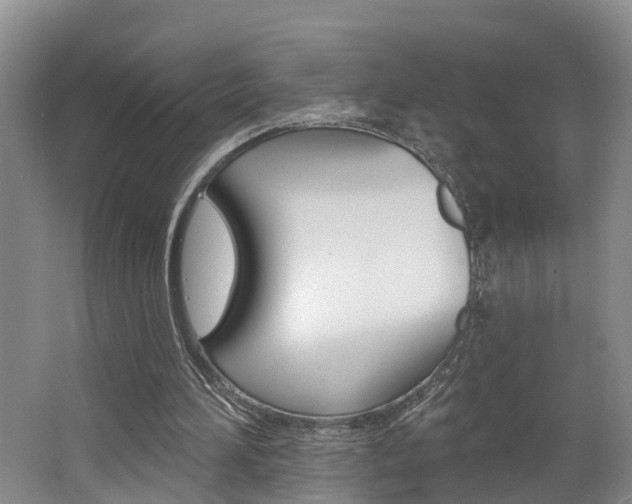 X0000062690196200512211141