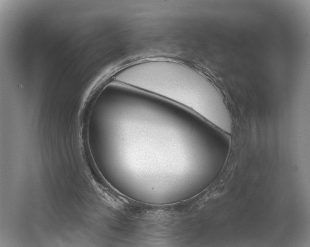 X0000062690197200512211141