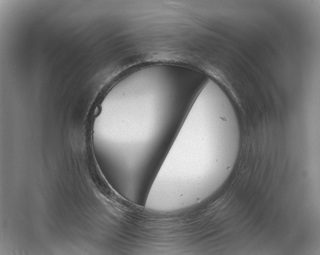 X0000062690204200512211141