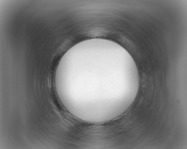 X0000062690210200512211141