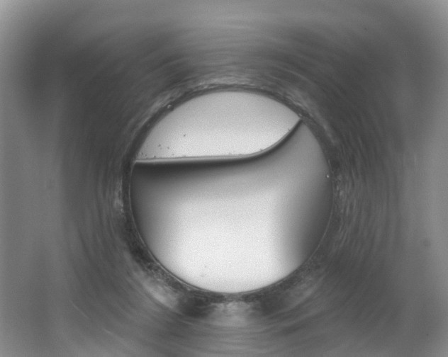 X0000062690212200512211141