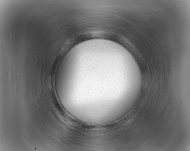X0000062690213200512211141