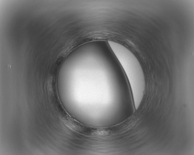 X0000062690217200512211141