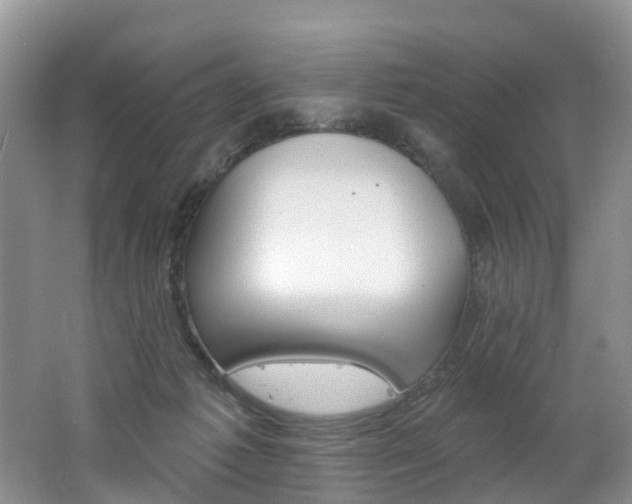 X0000062690221200512211141